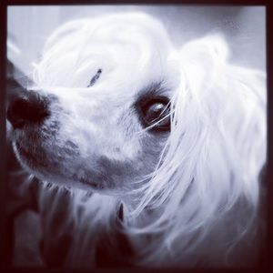 Meet your Posher, Miriam